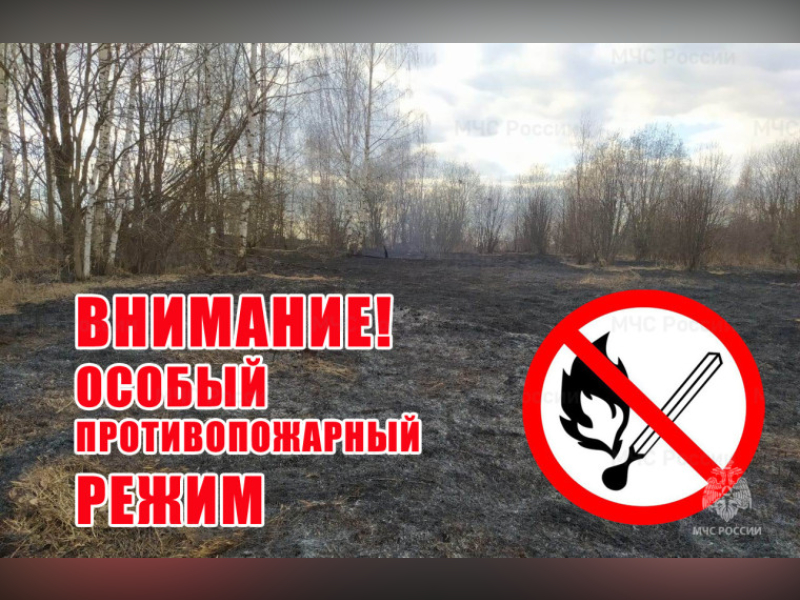 С 27 апреля 2024 года на территории Алтайского края введен особый противопожарный режим.