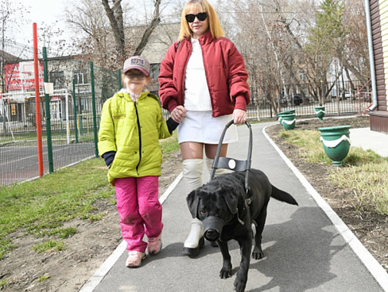 8 жителей Алтайского края с инвалидностью по зрению обеспечены собаками-поводырями.